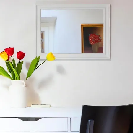 Audere Property - Michelangelo Daire Floransa